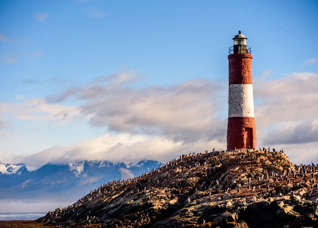 Qué hacer en Provincia de Tierra del Fuego